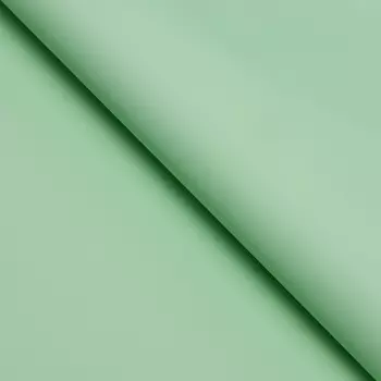 Пленка для цветов тонированная, матовая, светло - зелёная, 5757 см ±5% см, 65 мкм
