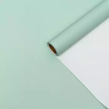 Пленка матовая 0.5810 м