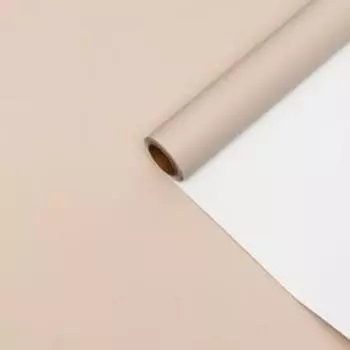 Пленка матовая 0.5810 м