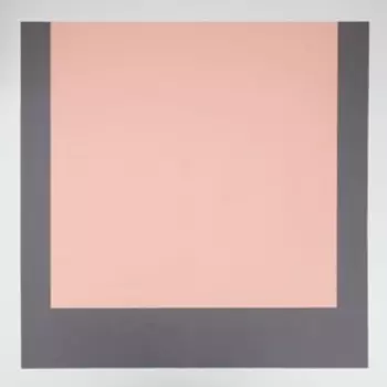 Пленка матовая, лотос, 58 х 58 см