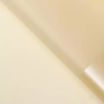 Пленка флористическая для цветов, "Кант жемчужный", 57х57 ± 1см