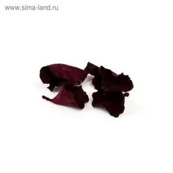 Плоды, калис красные, набор 5 шт