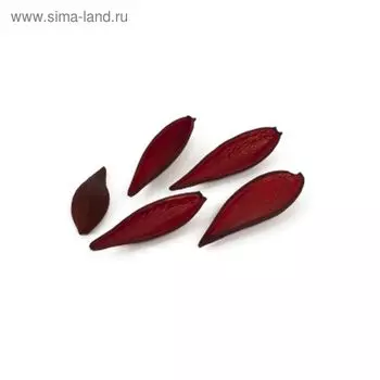 Плоды, каноина красные, набор 5шт