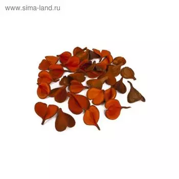 Плоды, перейро сердца оранжевый 200 г