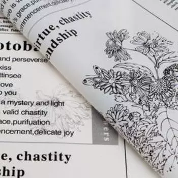 Плёнка матовая «Флористическая статья» белый, 5757 см ±5% см