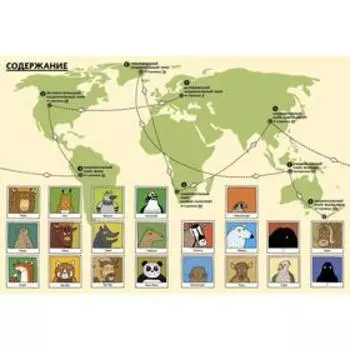 По дороге в Йеллоустоун. Необычайное путешествие по паркам мира. Мизелиньская А., Мизелиньский Д.