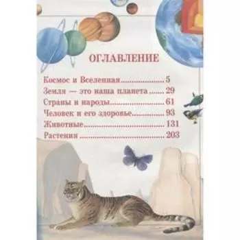 Почему и отчего?. Чайка Е.