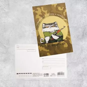 Почтовая карточка «23 февраля» суровый кот, 10 х 15 см