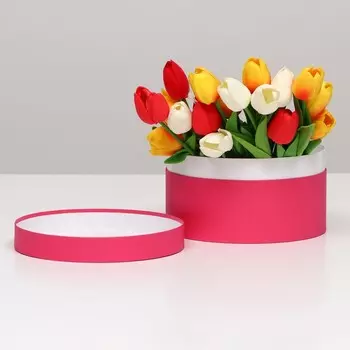 Подарочная коробка круглая «Фуксия», 21 × 11 см