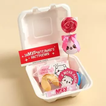Подарочный набор «Котик» в бенто коробке: леденец со вкусом малины 15 г., леденецы в тубусе мульти 32 г., жевательная резинка 15 г., молочный шоколад 27 г., печенье с предсказанием 6 г., жевательная конфета 10 г.