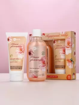 Подарочный набор «Нежность и забота», гель для душа, 300 мл и крем для тела, 200 мл, Чистое счастье