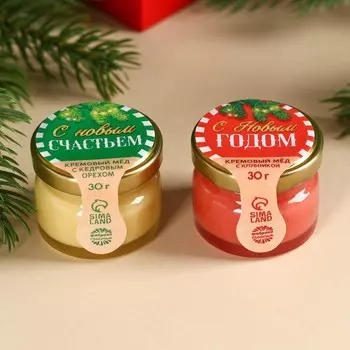 Подарочный набор «Новогодняя почта» в коробке-ёлке: чай чёрный со вкусом: яблочный штрудель 20 г., крем-мёд с клубникой и лесным орехом 60 г (2 шт. х 30 г)., молочный шоколад 27 г.