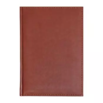 ПОДАРОЧНЫЙ набор Parker: ручка шариковая 2121995, визитница + Ежедневник датированный 2023, коричневый (7609087) + ПОДАРОЧНЫЙ ПАКЕТ