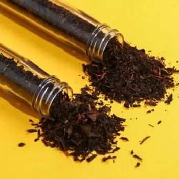 Подарочный набор «Ты эталон»: чай, вкус: лимон/брусника, 2 шт, крем-мёд с апельсином, 120 г.