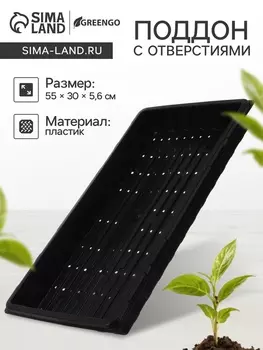 Поддон для гидропоники, с отверстиями, 55305.6 см, пластик, Greengo