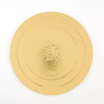 Подложка усиленная 24 см, золото-жемчуг, 3,2 мм, набор 3 шт