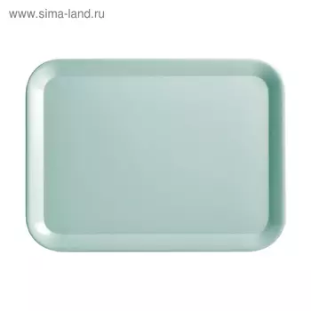 Поднос «Аква» 43.532.5 см