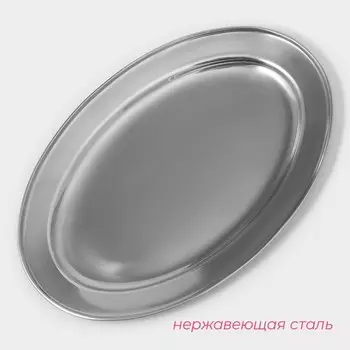 Поднос овальный из нержавеющей стали Доляна, 3523 см, цвет серебряный