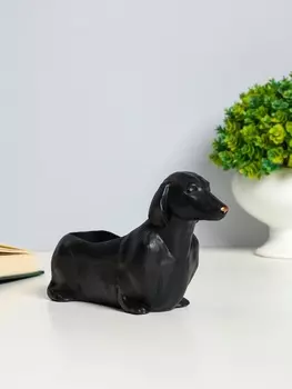 Подставка для мелочей «Такса», гипс, 16106 см, чёрный