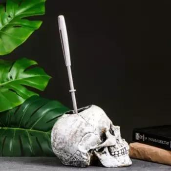 Ёршик для унитаза с подставкой «Череп», пластиковая ручка, 161522 см, белый
