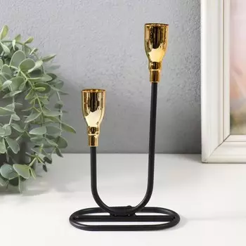 Металлический подсвечник на 2 свечи «Пелей», чёрный с золотом, 101023.5 см