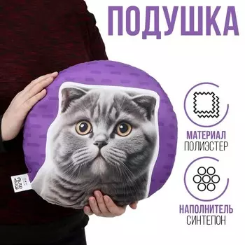 Подушка "Британец"