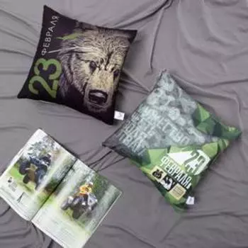 Подушка декоративная «Этель. 23 февраля», 4040 см, велюр