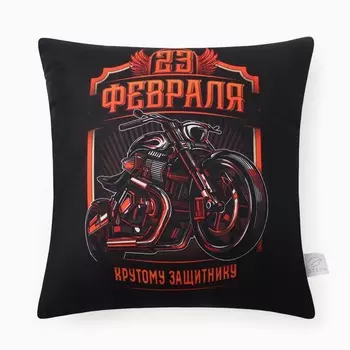 Подушка декоративная «Этель. Крутому защитнику», 4040 см, велюр