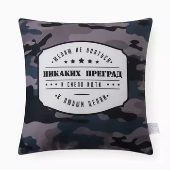 Подушка декоративная «Этель. Никаких преград», 4040 см, велюр