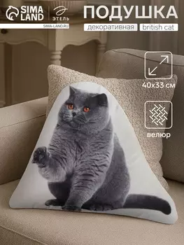 Подушка «Этель» British cat, 4033 см, 100% п/э, велюр