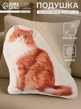 Подушка «Этель» Gingerl cat, 4033 см, 100% п/э, велюр