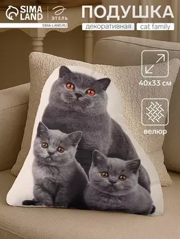 Подушка «Этель» Сat family 4033 см, 100% п/э, велюр