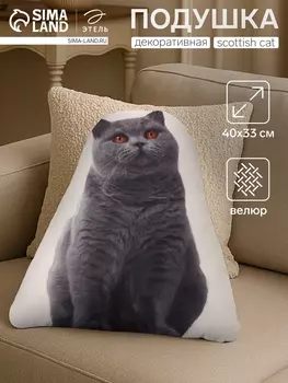 Подушка «Этель» Scottish cat, 4033 см, 100% п/э, велюр