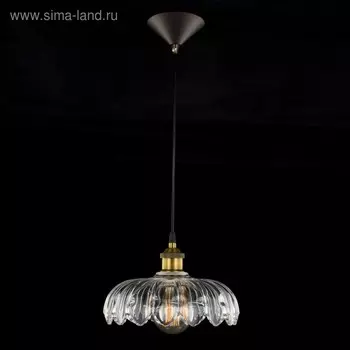 Подвес CL450107 "Эдисон" 1x75W E27 бронза 26x26x20 см