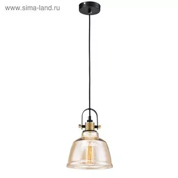 Подвес Irving 1x40W E27 чёрный 20x20x25см