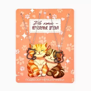 Подвески неразлучники «Два кота», 1114 см