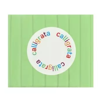 Полимерная глина Calligrata 50 г, флоуресцентная лимонная