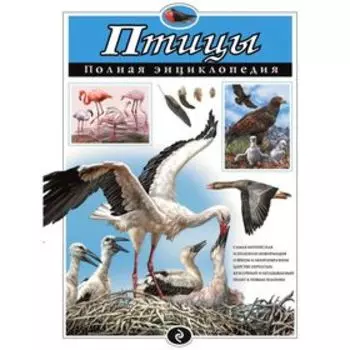 Полная энциклопедия «Птицы». Школьник Ю. К.