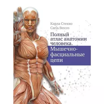 Полный атлас анатомии человека. Мышечно-фасциальные цепи. Стекко Карла