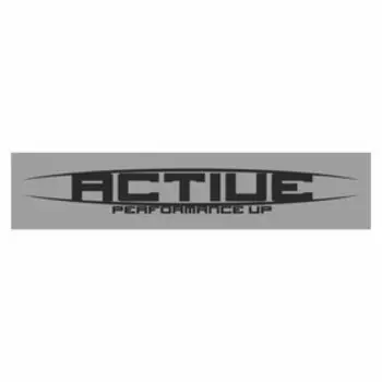 Полоса на лобовое стекло "ACTIVE", серебро, 1300 х 170 мм