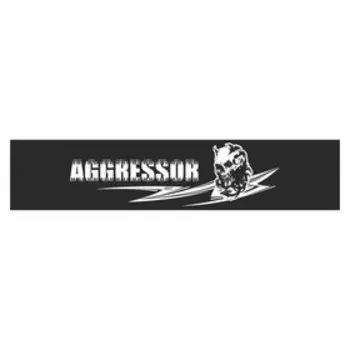 Полоса на лобовое стекло "AGRESSOR"(череп), черная, 1220 х 270 мм