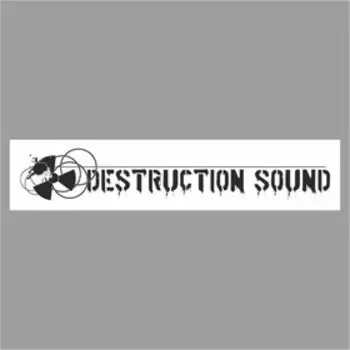 Полоса на лобовое стекло "DESTRUCTION SOUND", белая, 1600 х 170 мм