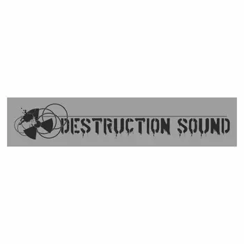 Полоса на лобовое стекло "DESTRUCTION SOUND", серебро, 1600 х 170 мм