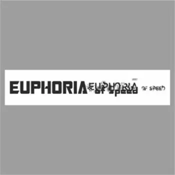 Полоса на лобовое стекло "EUPHORIA", белая, 1600 х 170 мм
