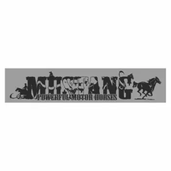 Полоса на лобовое стекло "MUSTANG", серебро, 1600 х 170 мм