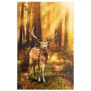 Полотенце Этель «Лес», 4067 см, хлопок 100 %, саржа, 190 г/м