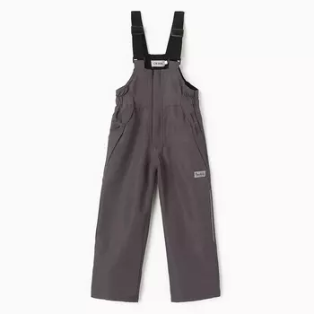 Полукомбинезон утеплённый для девочек, цвет серый, рост 92 см