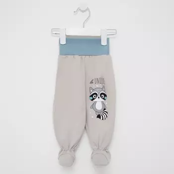 Ползунки детские «Милый енотик», цвет серый/голубой, рост 68 см