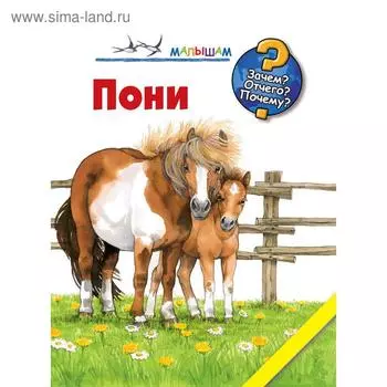«Пони», Теа Росс