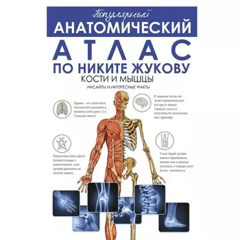 Популярный анатомический атлас по Никите Жукову. Кости и мышцы. Инсайты и интересные факты. Жуков Н.Э.